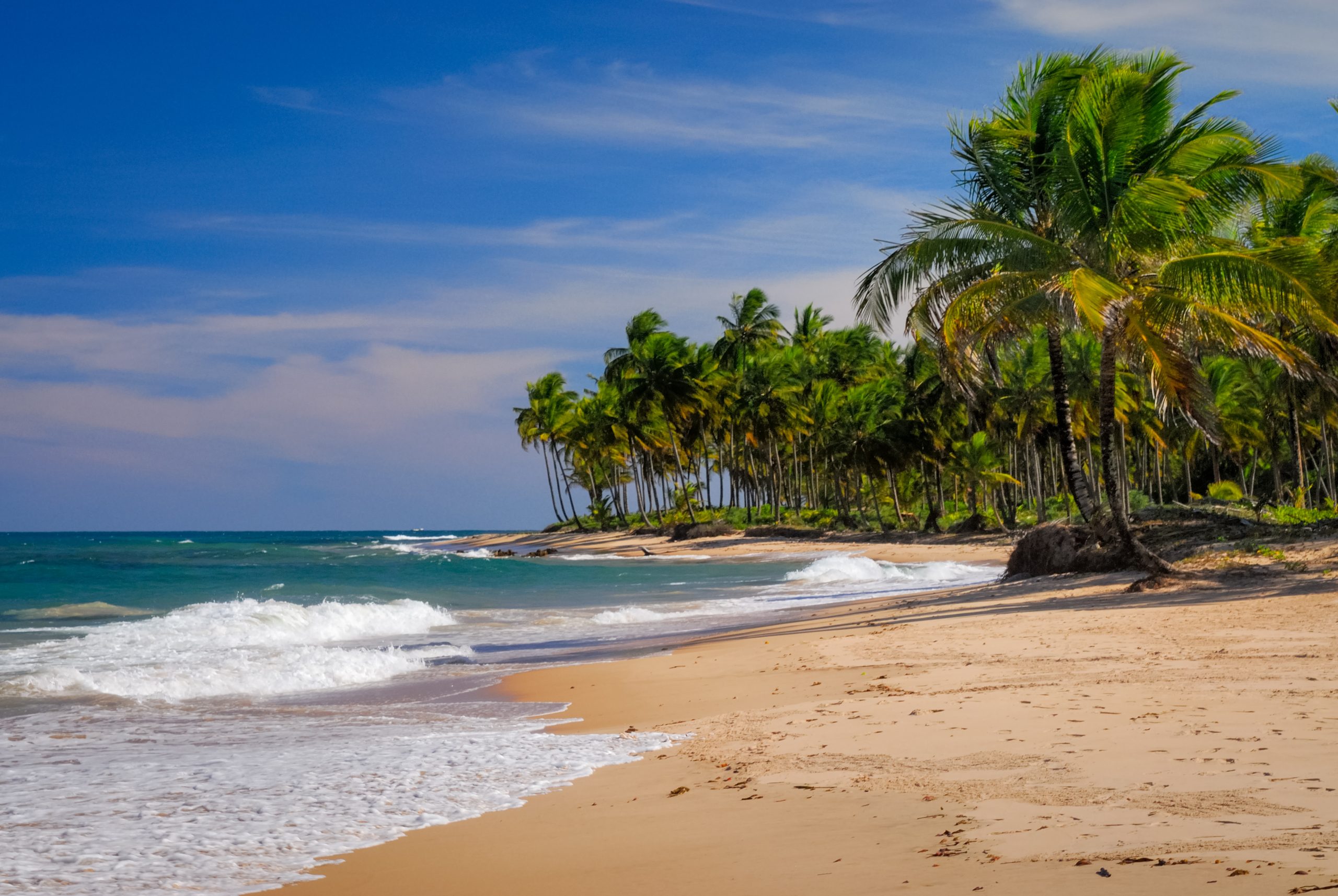 coconut-trees-by-sea-taipu-de-fora-beach-penisula-de-marau-bahia-brazil